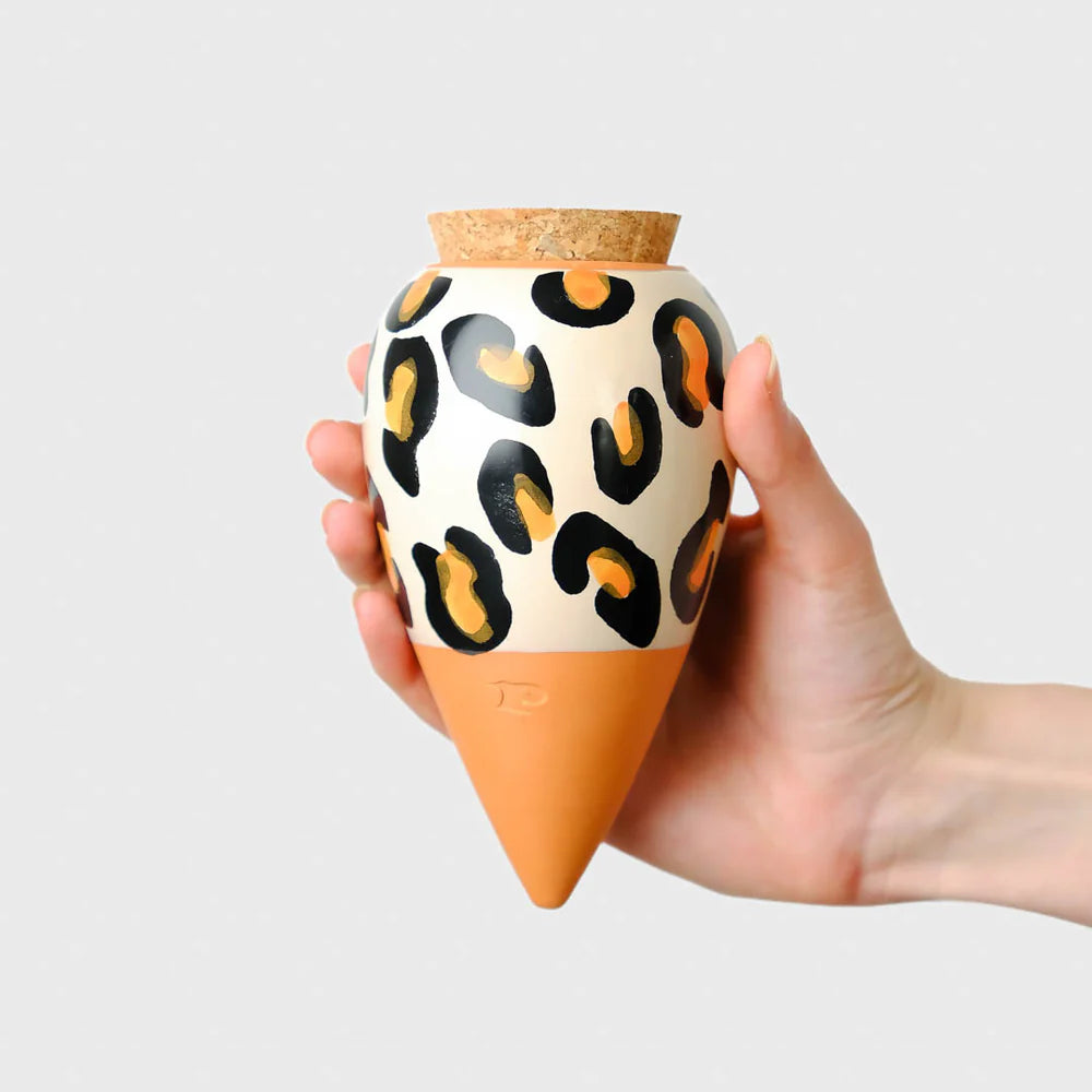 Olla