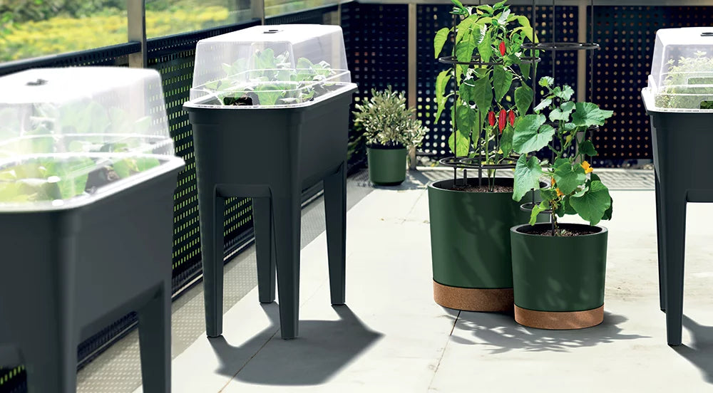 Serre Botanic