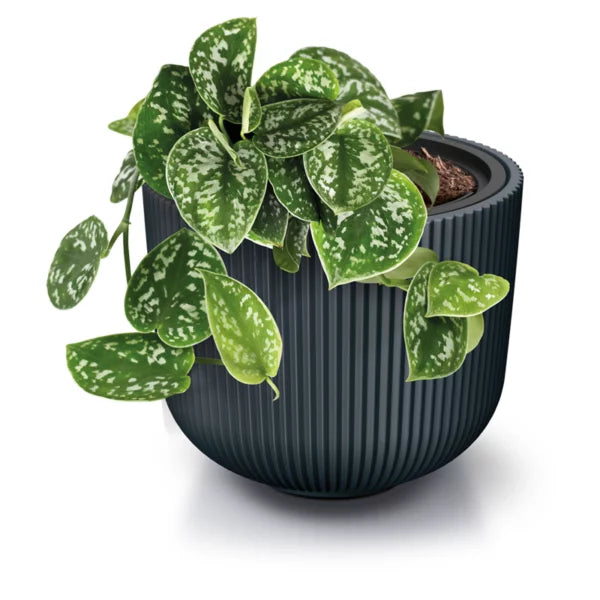Pot de fleur Milly