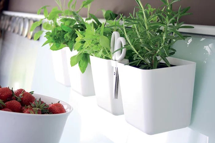 Pot de fleur Twins Cube