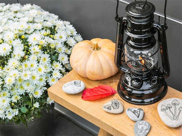 Lampe-tempête Feuerhand Baby Special 276