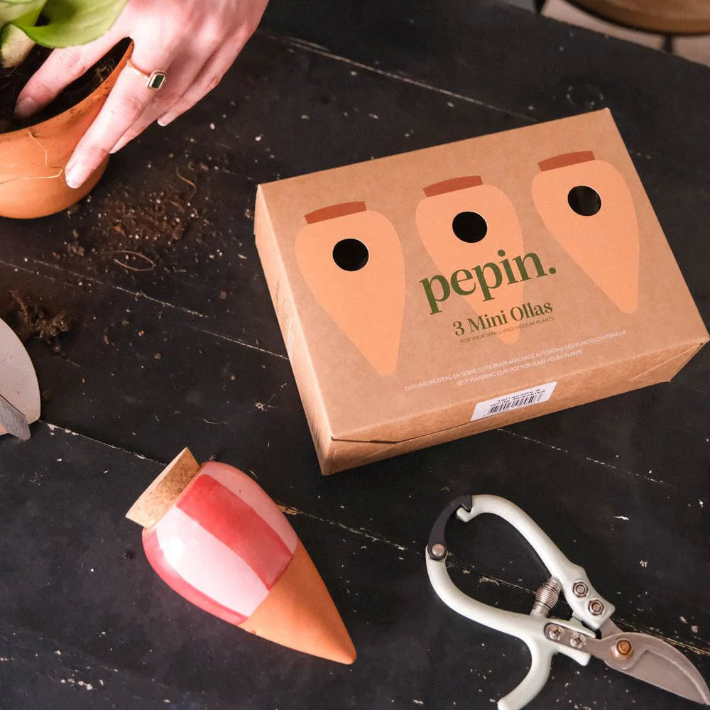 Trio Mini Olla