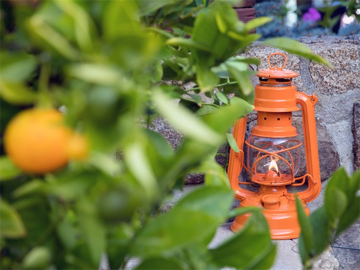 Lampe-tempête Feuerhand Baby Special 276