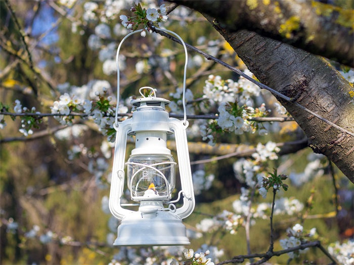 Lampe-tempête Feuerhand Baby Special 276